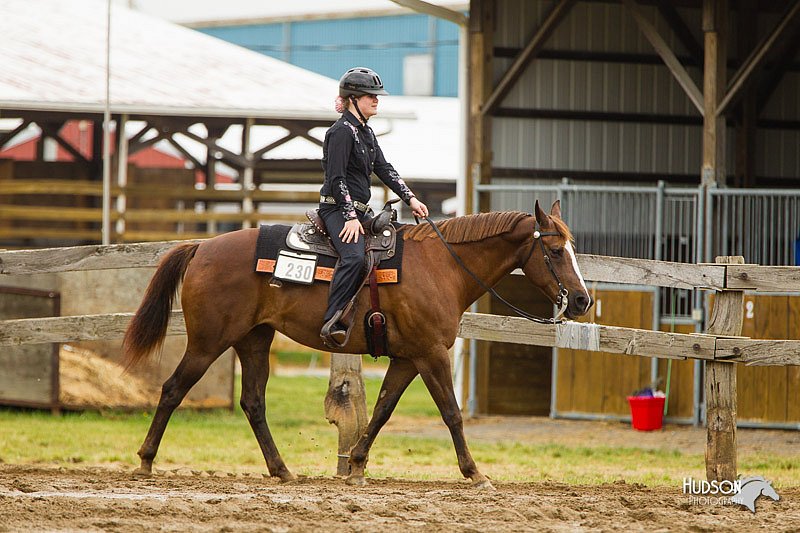 4H-FUN-060813-0559.jpg