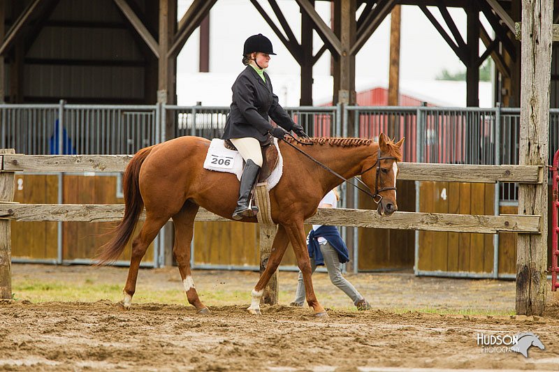 4H-FUN-060813-0561.jpg