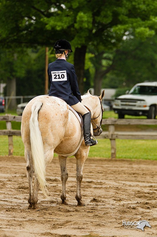 4H-FUN-060813-0564.jpg