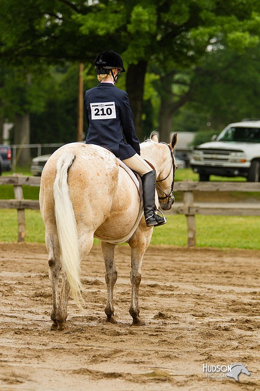 4H-FUN-060813-0565.jpg