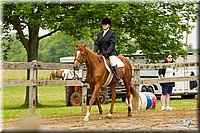 4H-FUN-060813-0538.jpg
