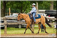 4H-FUN-060813-0548.jpg