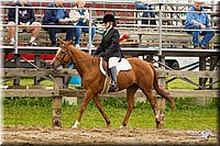 4H-FUN-060813-0549.jpg