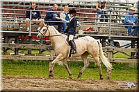 4H-FUN-060813-0553.jpg