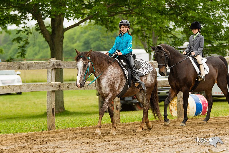 4H-FUN-060813-0568.jpg