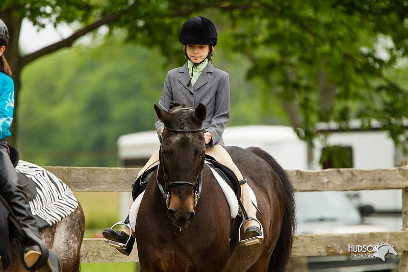 4H-FUN-060813-0569.jpg
