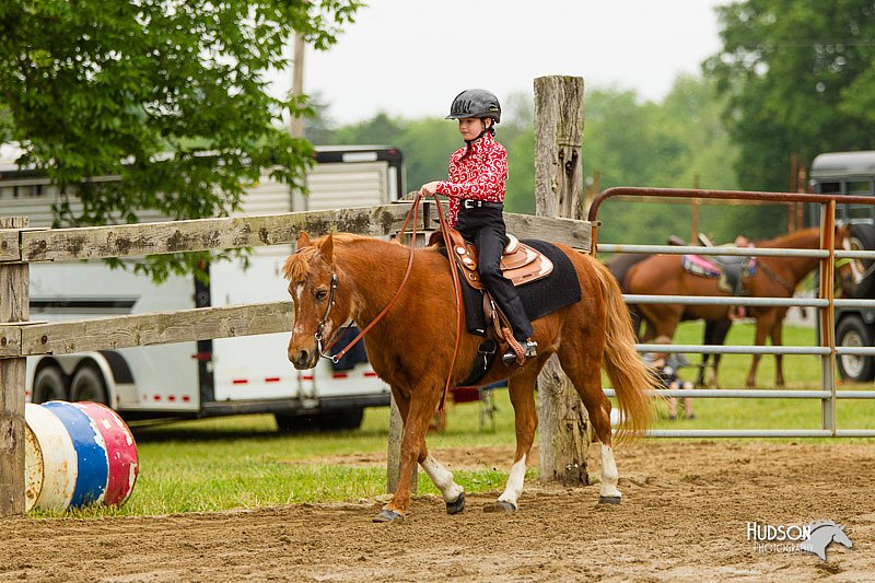 4H-FUN-060813-0573.jpg