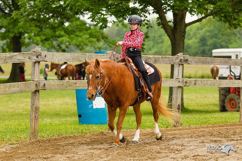 4H-FUN-060813-0577.jpg