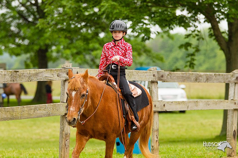 4H-FUN-060813-0578.jpg