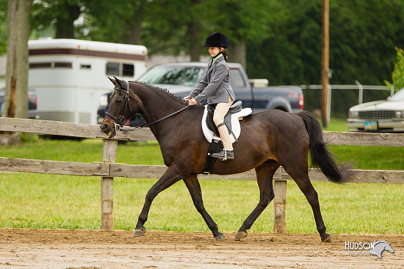 4H-FUN-060813-0580.jpg