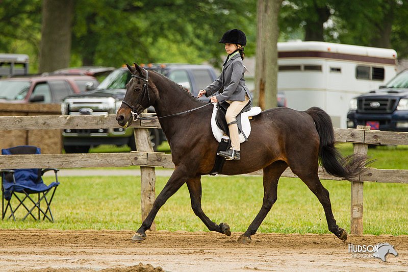 4H-FUN-060813-0581.jpg