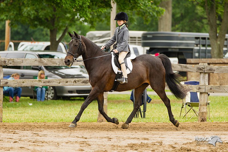 4H-FUN-060813-0582.jpg