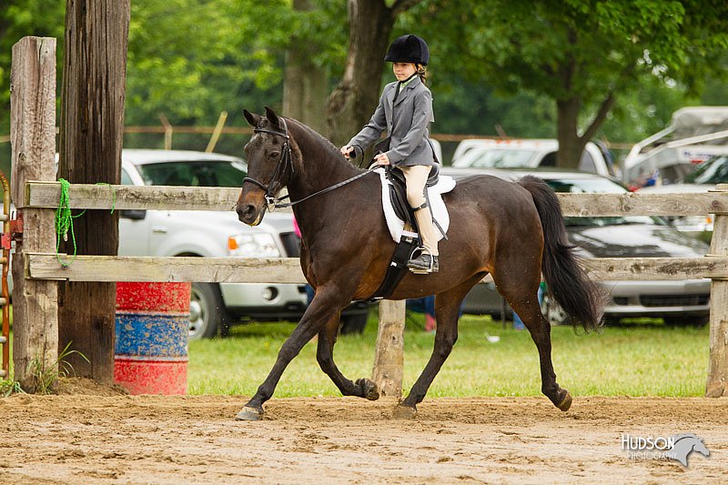 4H-FUN-060813-0583.jpg
