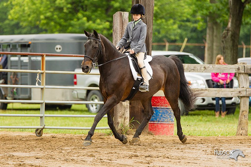 4H-FUN-060813-0584.jpg