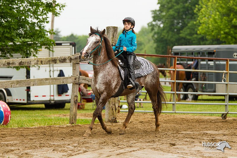 4H-FUN-060813-0585.jpg