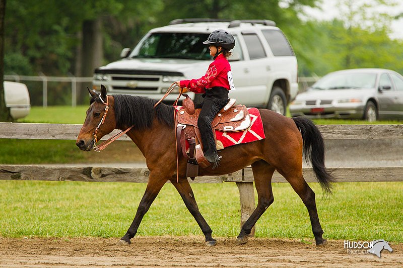 4H-FUN-060813-0586.jpg