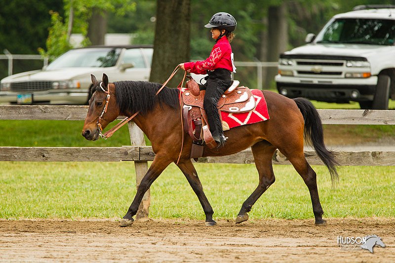 4H-FUN-060813-0587.jpg