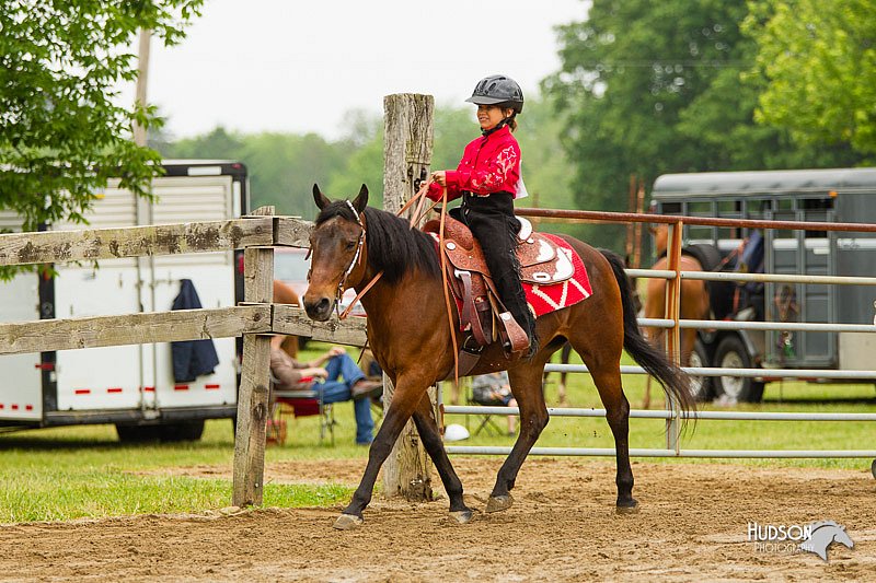 4H-FUN-060813-0590.jpg