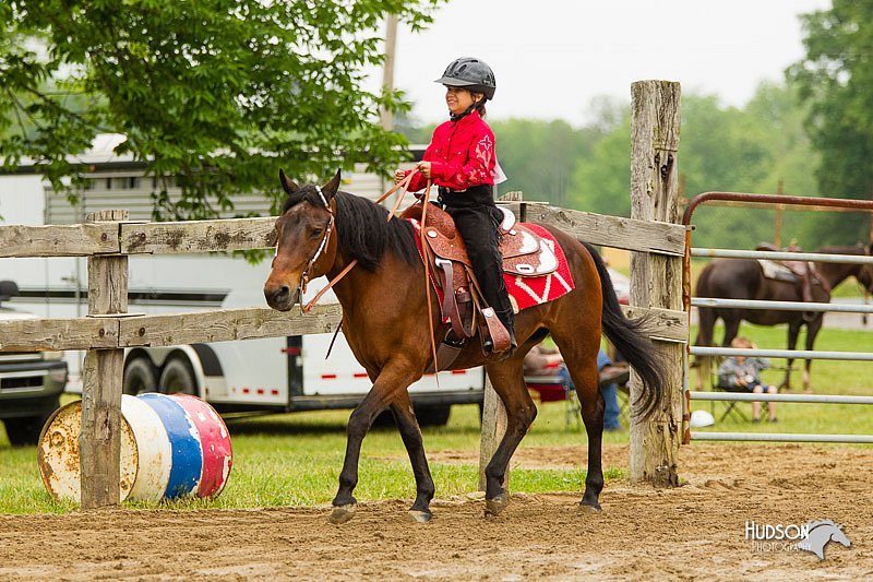 4H-FUN-060813-0591.jpg