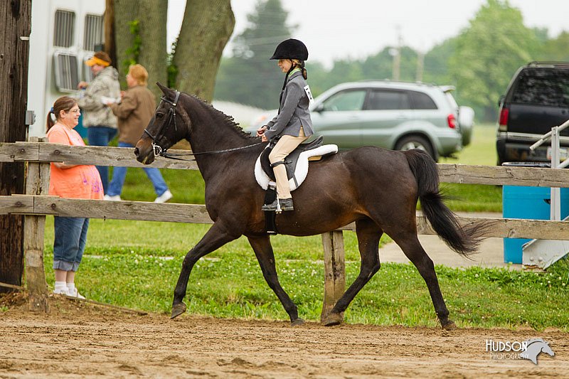 4H-FUN-060813-0592.jpg