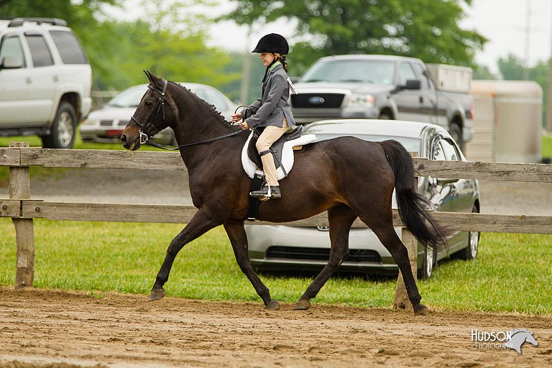 4H-FUN-060813-0593.jpg