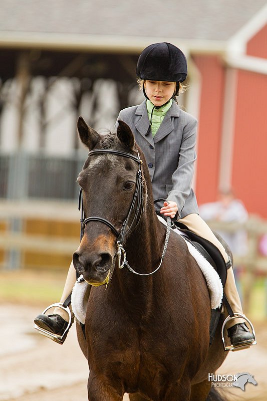 4H-FUN-060813-0601.jpg