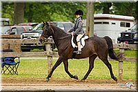 4H-FUN-060813-0581.jpg