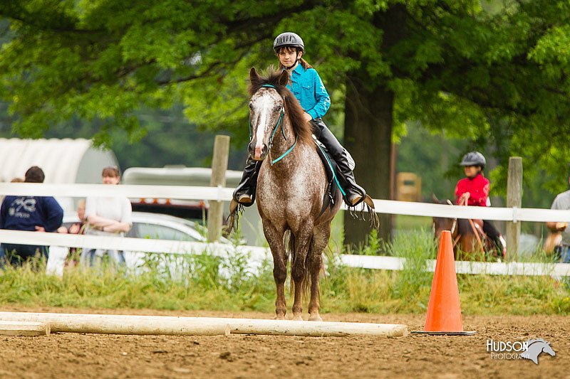 4H-FUN-060813-0808.jpg