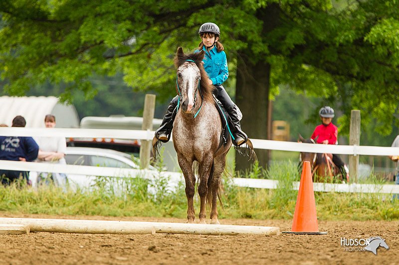 4H-FUN-060813-0809.jpg
