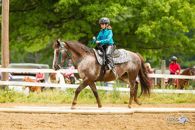 4H-FUN-060813-0810.jpg