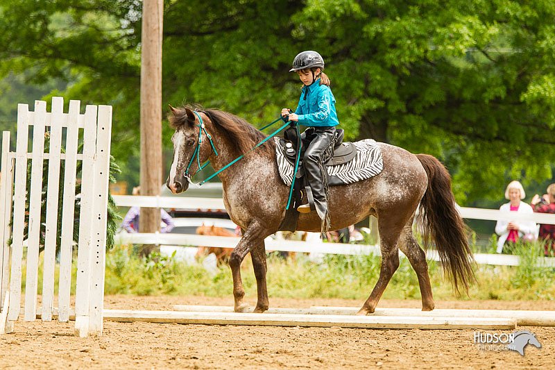 4H-FUN-060813-0811.jpg