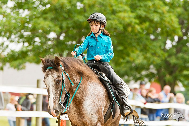 4H-FUN-060813-0814.jpg