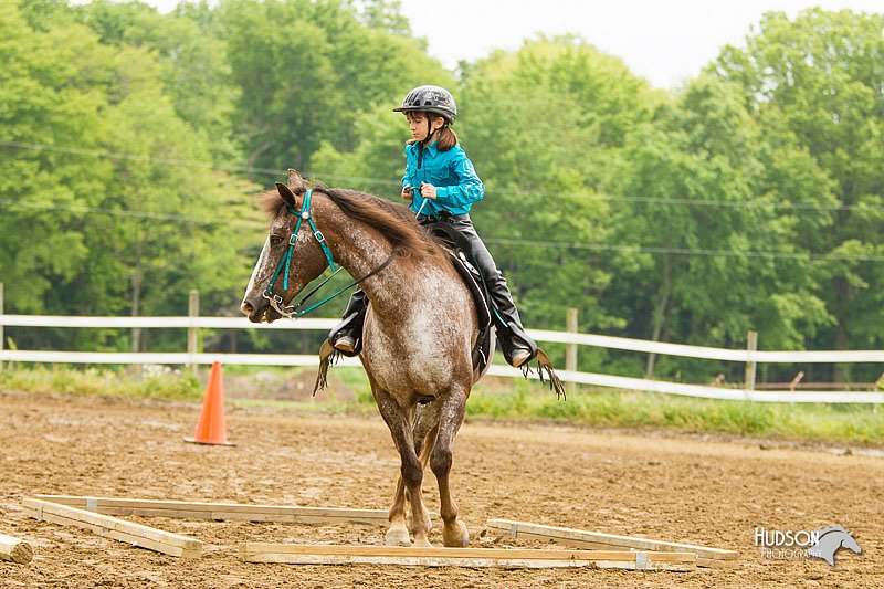 4H-FUN-060813-0815.jpg