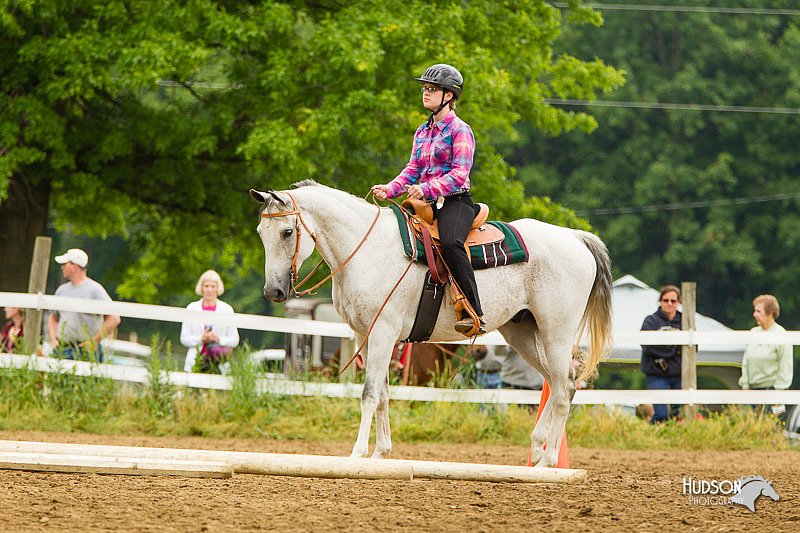 4H-FUN-060813-0817.jpg