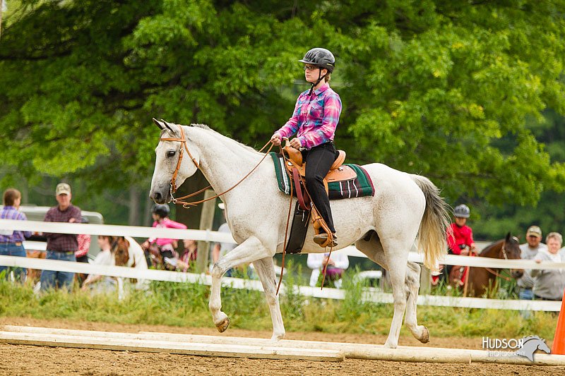 4H-FUN-060813-0818.jpg