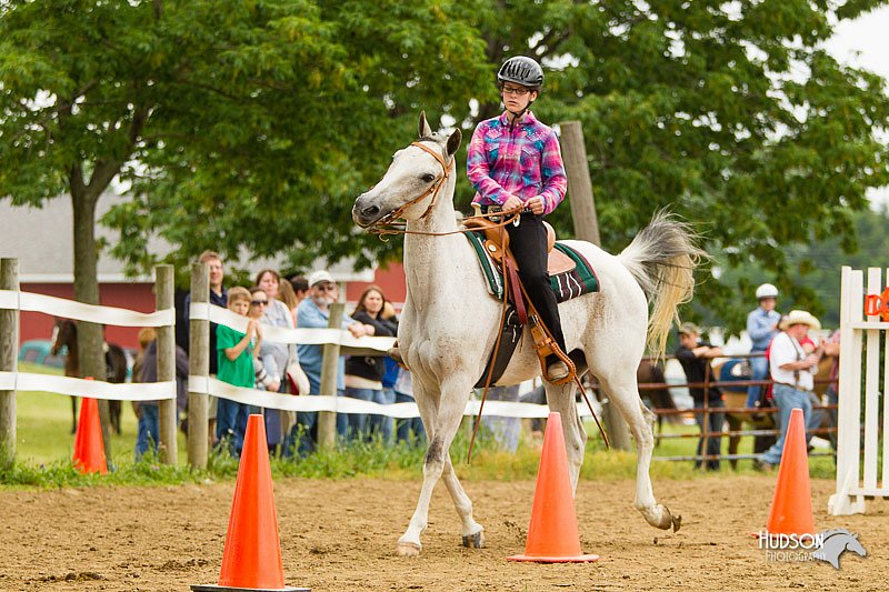 4H-FUN-060813-0820.jpg