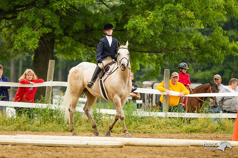 4H-FUN-060813-0822.jpg