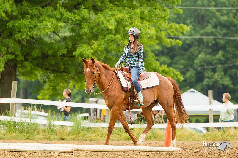 4H-FUN-060813-0823.jpg