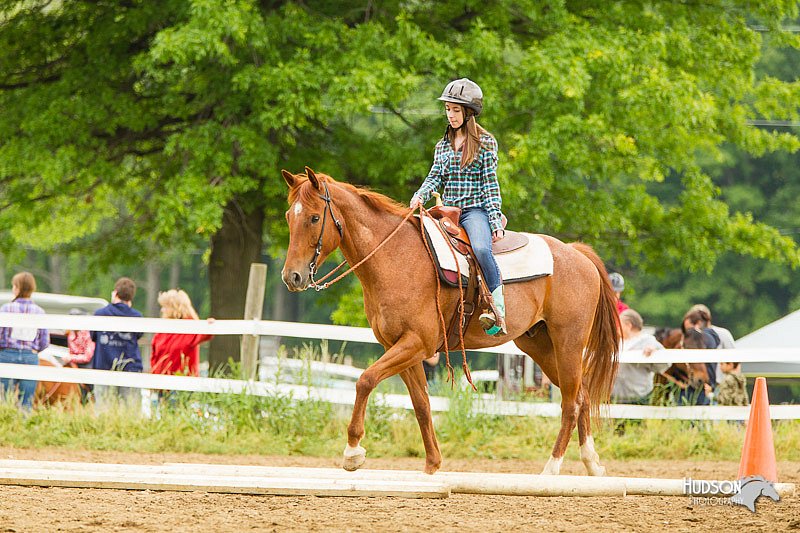 4H-FUN-060813-0824.jpg