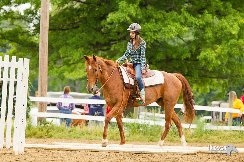 4H-FUN-060813-0825.jpg