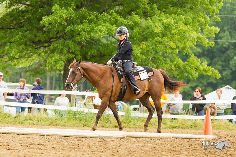 4H-FUN-060813-0838.jpg
