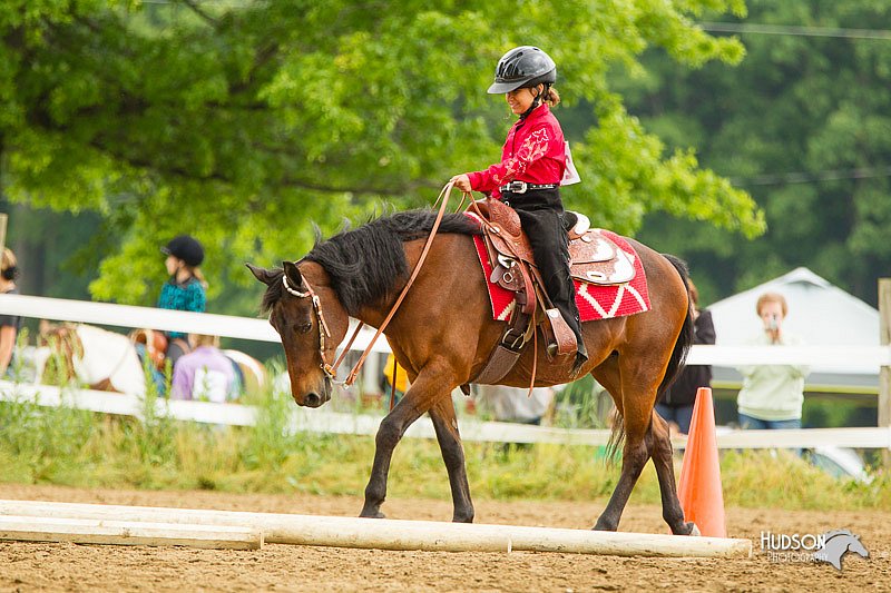 4H-FUN-060813-0847.jpg
