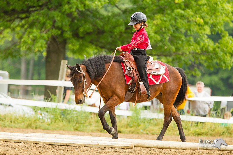 4H-FUN-060813-0848.jpg