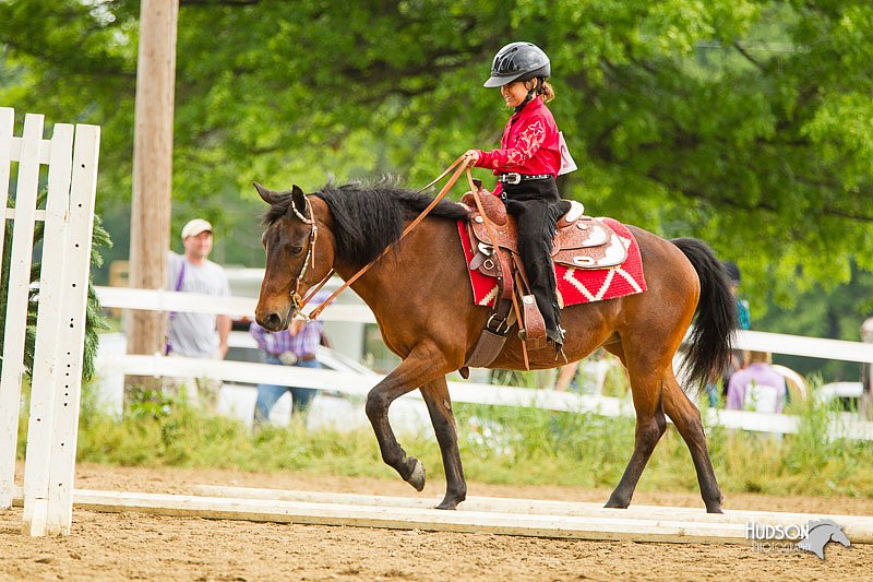 4H-FUN-060813-0849.jpg