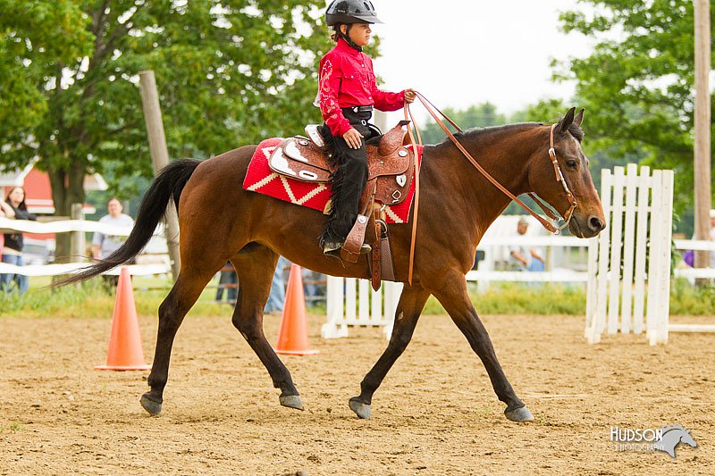 4H-FUN-060813-0855.jpg