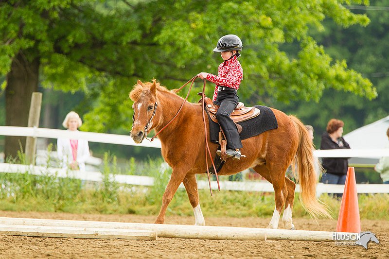 4H-FUN-060813-0865.jpg