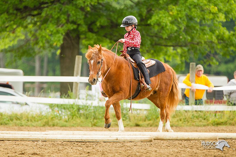 4H-FUN-060813-0866.jpg