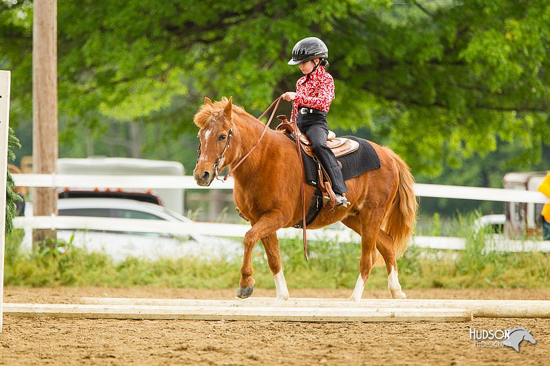 4H-FUN-060813-0867.jpg