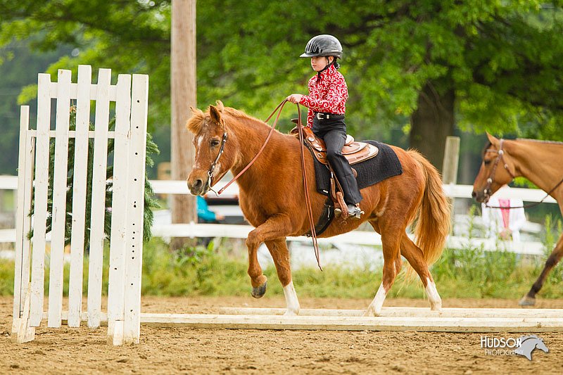 4H-FUN-060813-0868.jpg