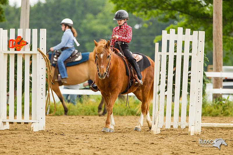 4H-FUN-060813-0869.jpg